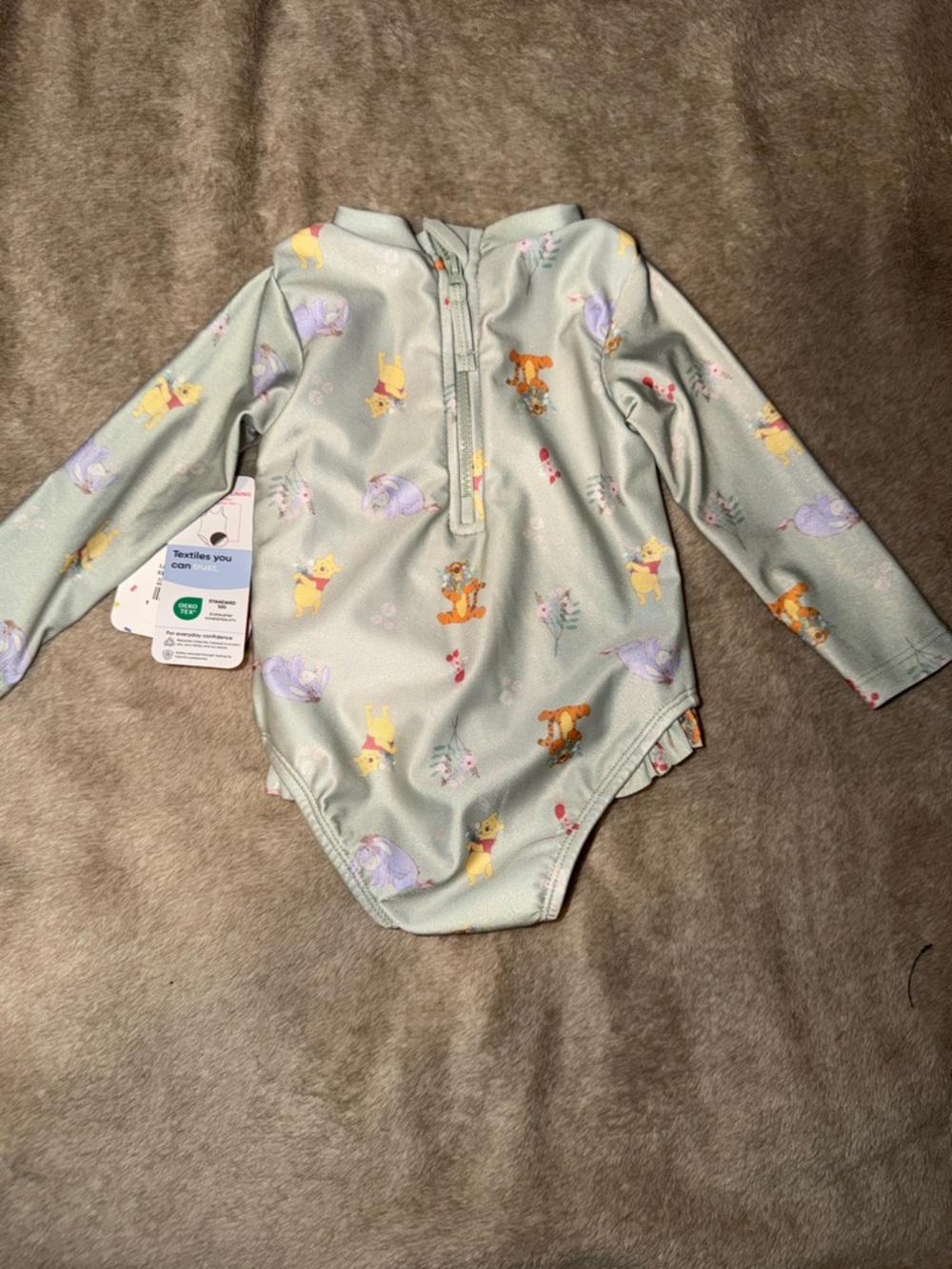 Disney Pastel Mint Baby Swim One-Piece with Winnie the Pooh & Eeyore